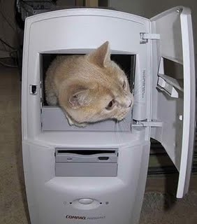 computer-cat-full